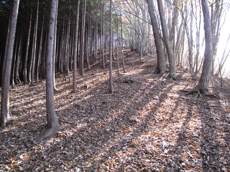 20171116hike (62)